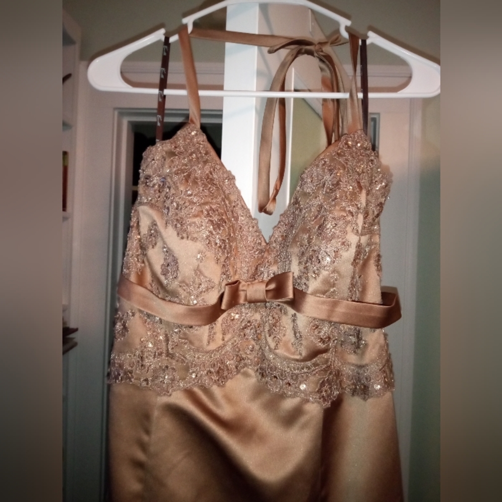 Camille La Vie Petite Formal Gown size 12 P